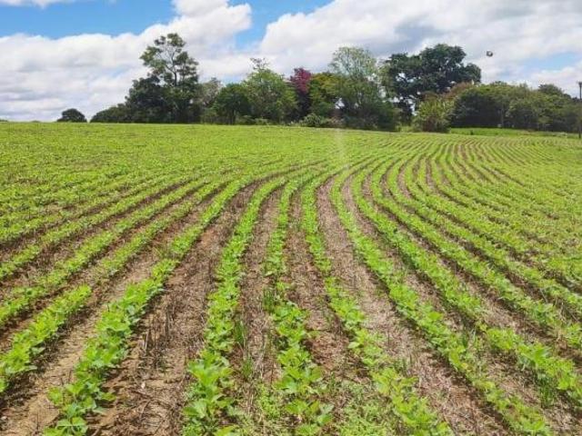 EXCELENTE SÍTIO A VENDA EM ITARARÉ SP ? Área Total: 24,61 Alqueires Área de Plantio: 16 Alquei