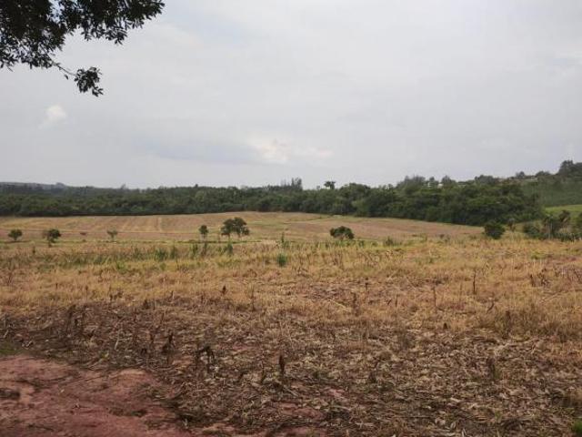 EXCELENTE SÍTIO A VENDA NA REGIÃO DE ITAPETININGA SP ? Área Total: 32,91 Hectares ou 13,6 Alqueir