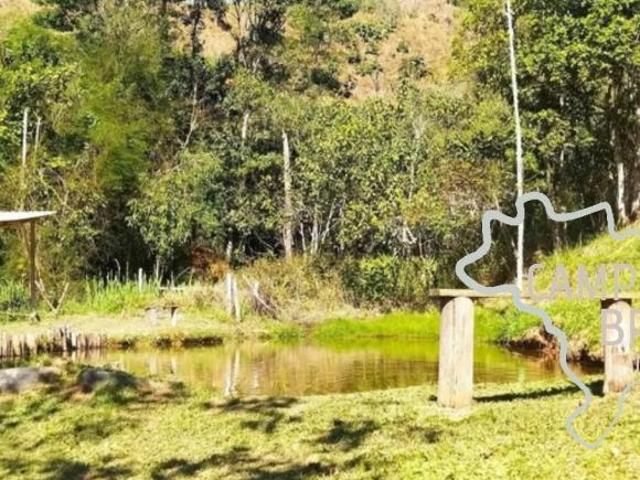 EXCELENTE SÍTIO DE 3 HECTARES EM MONTEIRO LOBATO!