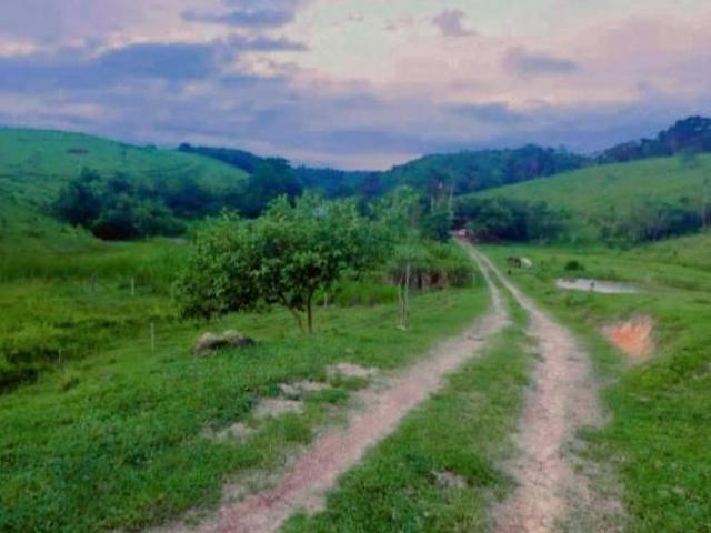 EXCELENTE SÍTIO DE 41.HECTARES DE PASTO ABERTO COD 5576 F: 11 97302 9229 CESAR