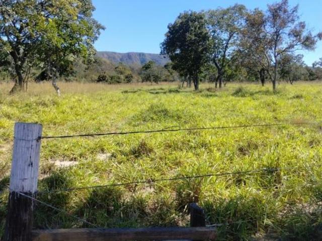 EXCELENTE SÍTIO EM MG Município de Arinos