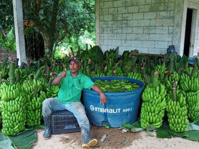 EXCELENTE SÍTIO PARA PRODUTORES DE BANANA E GADO COD: 4697 F: 11 97302 9229