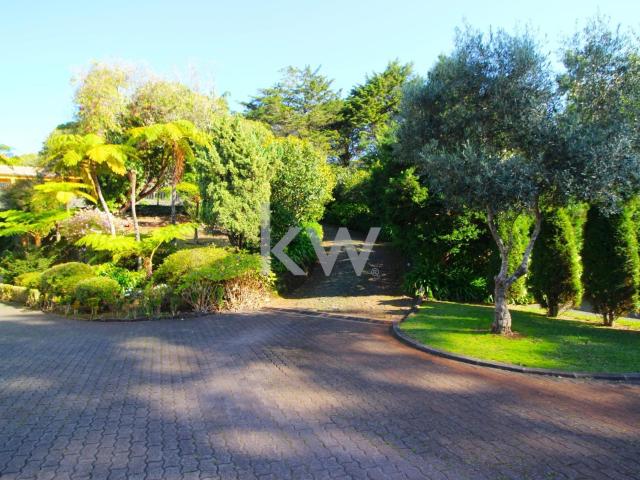 Excelente Propriedade à Venda: Um Oásis de Natureza e Confor. 504m² Santo António Da Serra