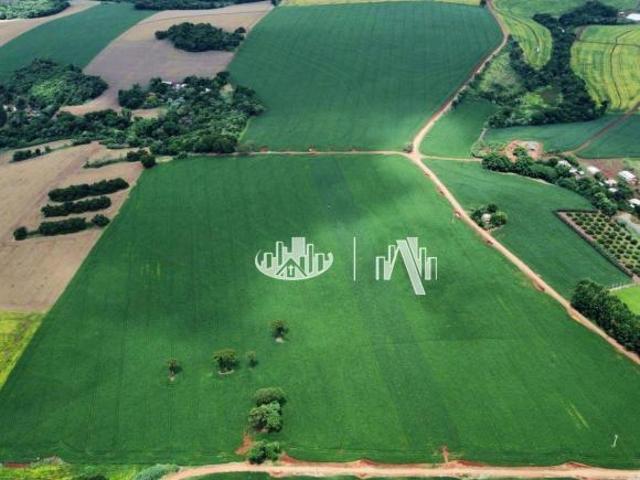 Excelente propriedade agrícola à venda em Tamarana, localizada em região consolidada e de alta produ