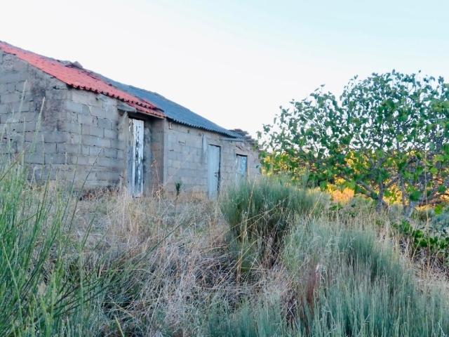 Excelente quinta com uma área de 48.400 m². Possibilidade de construir uma moradia com uma área máxima de 300 m². Solo muito fértil, com algumas árvores de fruto e oliveiras. Muitos auto regam de 4 nascentes em poços. A cerca de 1km de uma Vila com Comércios e serviços