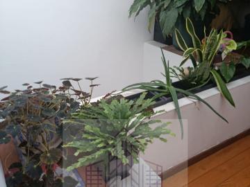 EXCELENTE T5 DUPLEX CENTRO DA CIDADE