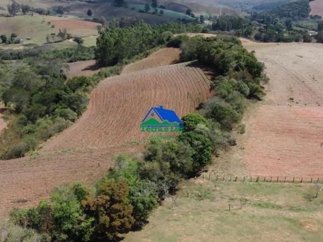 Excelente Terra para Plantio e Criação – 52 Hectares em Aiuruoca/MG