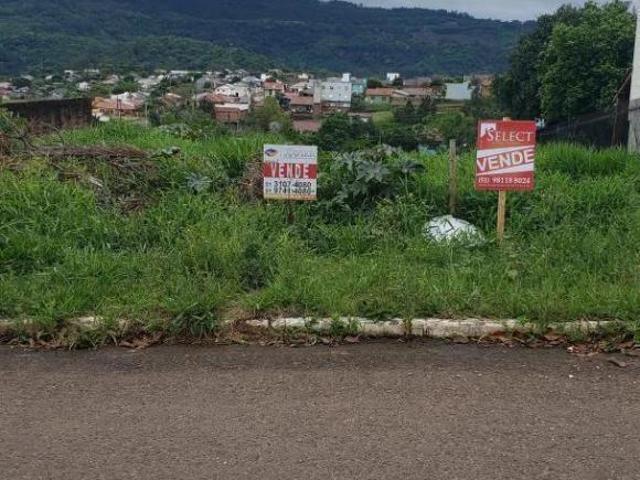Excelente terreno