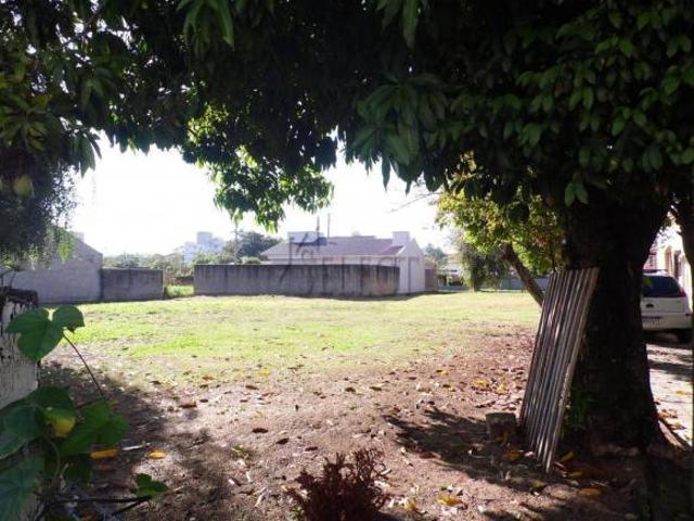Excelente terreno