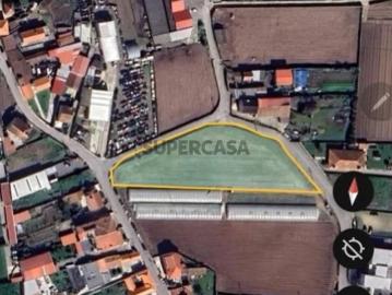 Excelente Terreno Urbano com toda infraestrutura Terroso