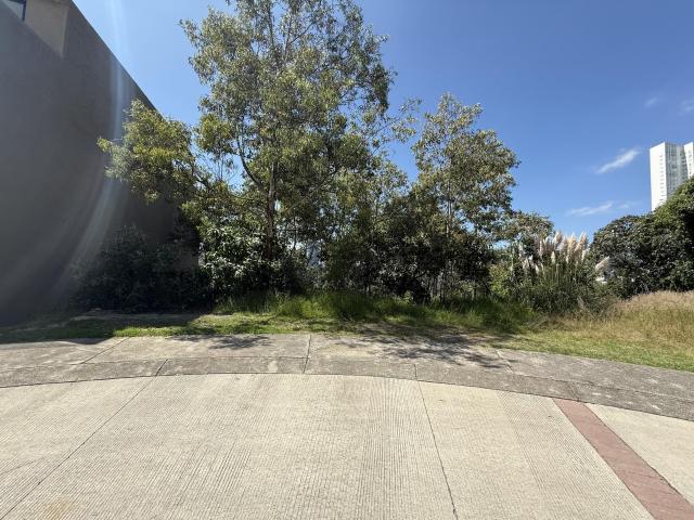 Excelente Terreno Venta en P?rgolas Bosque Real