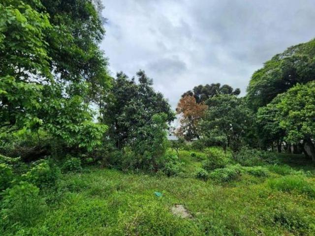 EXCELENTE TERRENO ZR3 BAIRRO PORTÃO