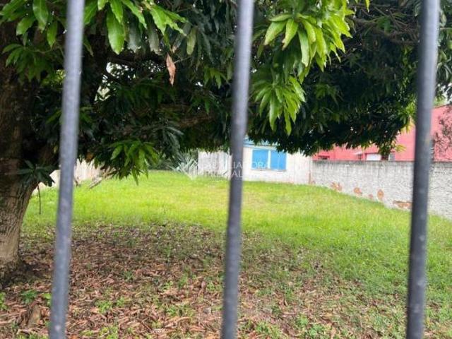 Excelente Terreno à Venda em Ipanema, Porto Alegre