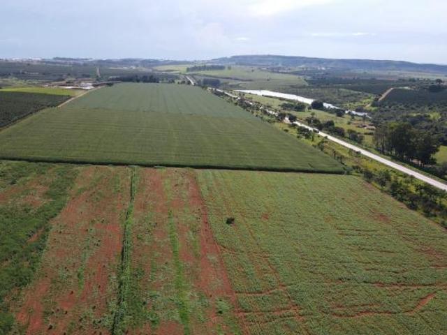 EXCELENTE TERRENO ÀS MARGENS DA BR 365
