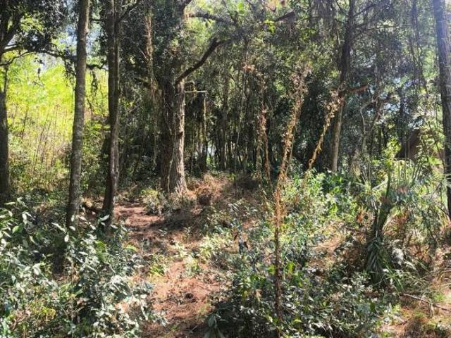 Excelente Terreno Arborizado em Condomínio Fechado – Águas Claras / Viamão