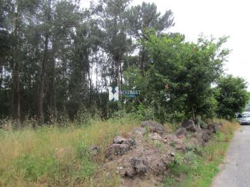 EXCELENTE TERRENO, C/6000 M2, JUNTO Á DIDAX EM CRUZ, FAMALICÃO