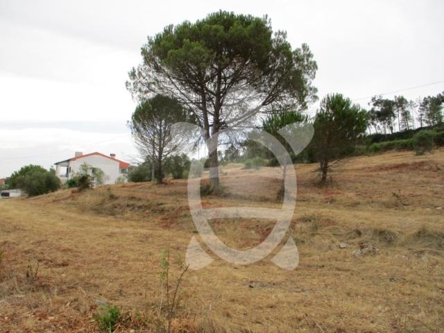 Excelente Terreno com 2.540m2 nas Alhadas