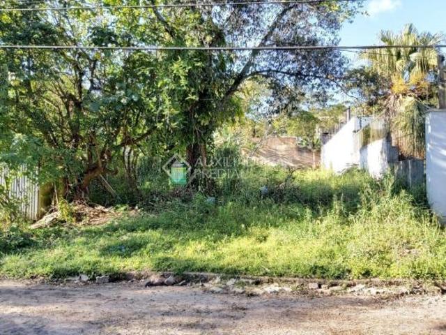 Excelente terreno com 342,54 m² bem localizado no bairro Vila Conceição
