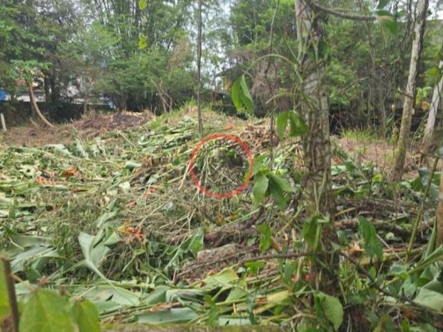 EXCELENTE TERRENO COM 670 METROS QUADRADOS