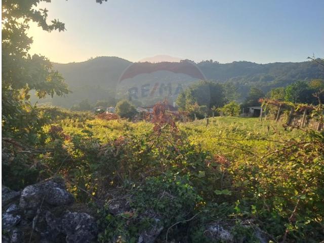Excelente terreno com cerca de 2.300m2 de área!