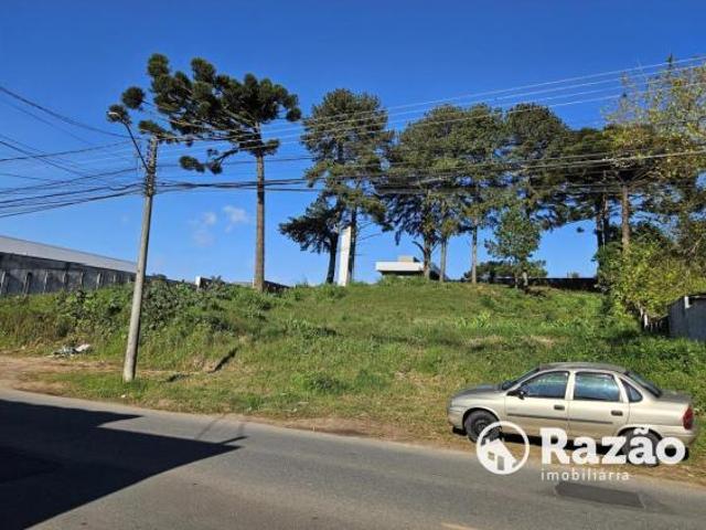 EXCELENTE TERRENO COM ÁREA DE 2.765m² SANTA FELICIDADE REF 5867