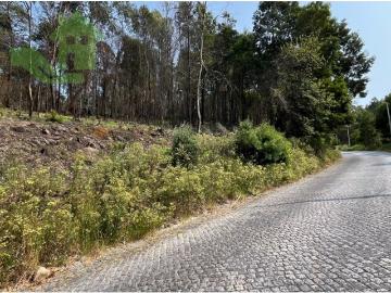 EXCELENTE TERRENO COM POSSIBLIDADE DE CONSTRUÇÃO, RORIZ SANTO TIRSO