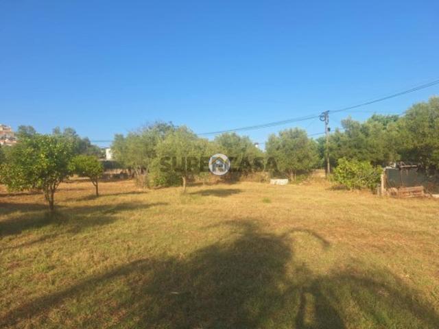 Excelente terreno com viabilidade de construção