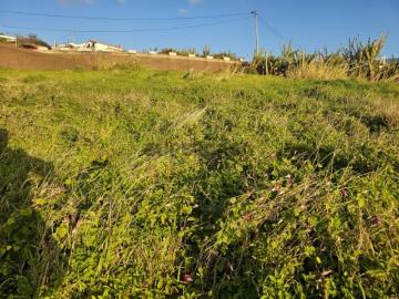 Excelente Terreno com Vista Panorâmica Arco da Calheta