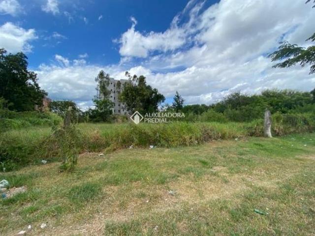 Excelente terreno de 11X50 550M, diferenciado com a opção de venda de 02 lotes lada a lado, ótima