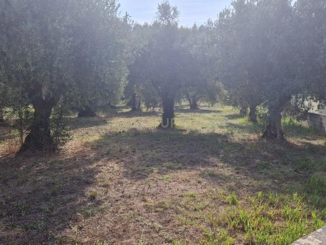 Excelente terreno em Barreiras