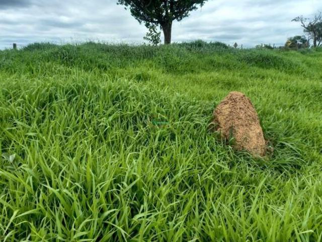 Excelente terreno em Passa Tempo MG!
