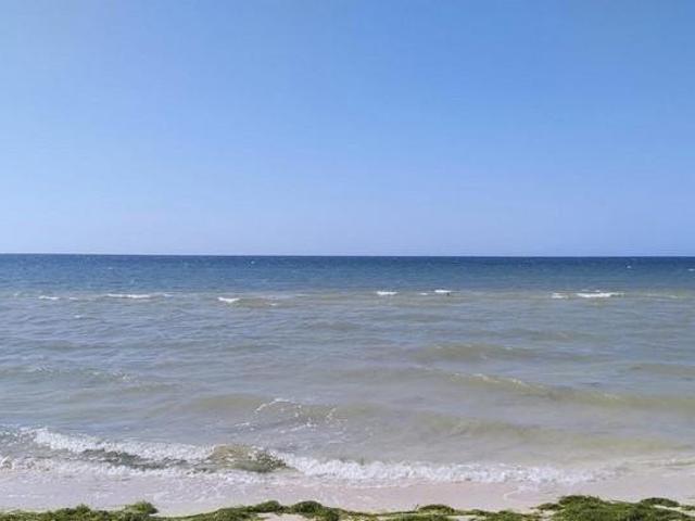 EXCELENTE TERRENO EN VENTA 2A FILA CHABIHAU PLAYA AVT 1284