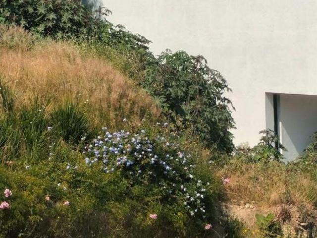 Excelente Terreno en venta en Vilagave