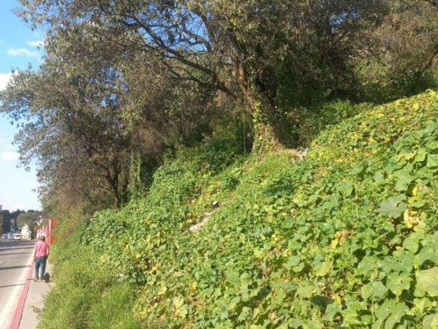 EXCELENTE TERRENO EN BARRANCA DE HUEYETLACO