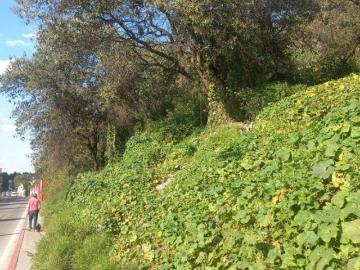 EXCELENTE TERRENO EN BARRANCA DE HUEYETLACO