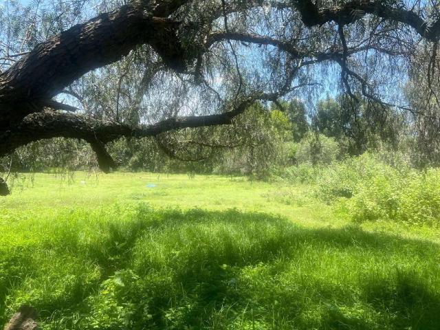 Excelente Terreno en Santiago Tlapanaloya, Tepeji del R?o