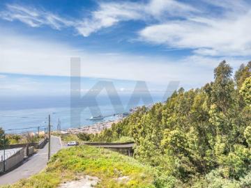 Excelente terreno Funchal Vista Baía Projeto aprovado para aldeamento turístico