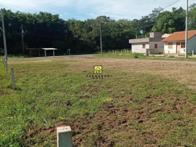 Excelente terreno! Livre de inundação!