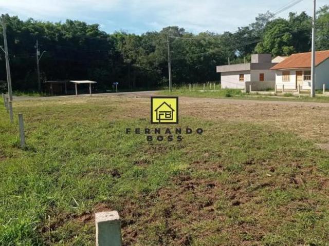 Excelente terreno! Livre de inundação!
