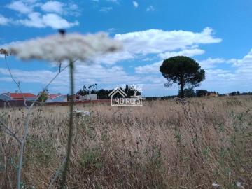 EXCELENTE TERRENO MISTO GRANHO / 85.000 M2