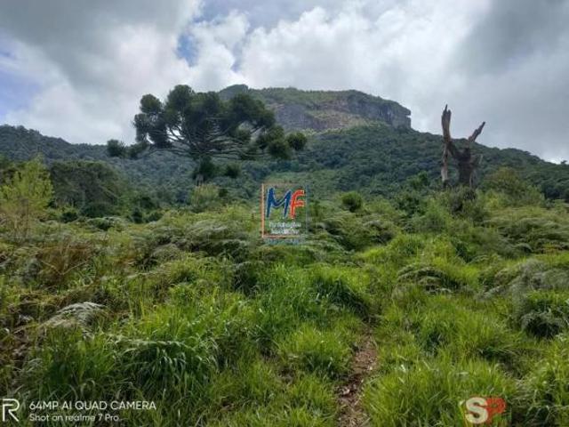 Excelente terreno na região da Pedra do Baú, em Campos do Jordão/SP, com 23 hectares 270.000 m² Ót