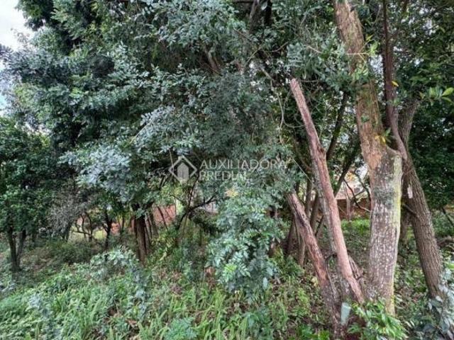 Terreno Bairro Guarani em ovo Hamburgo
