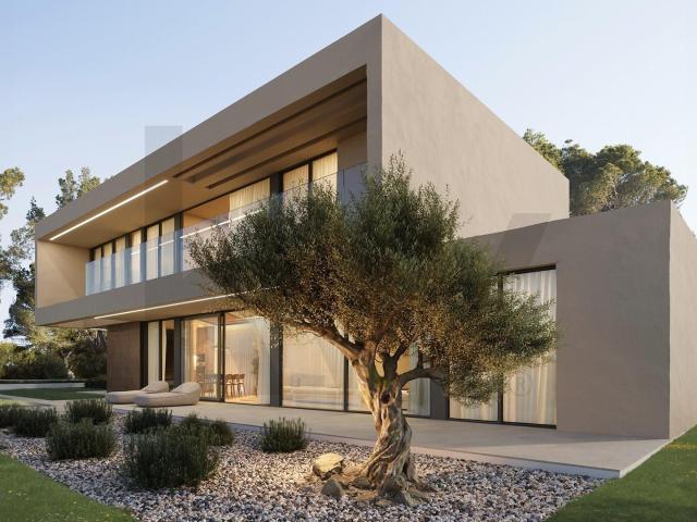 Excelente Terreno para Construção com 2000 m2 em Cesar !