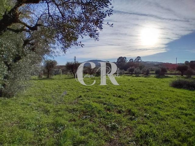 Excelente terreno para construção com cerca de 3.400m2 em Aguda Figueiró dos Vinhos