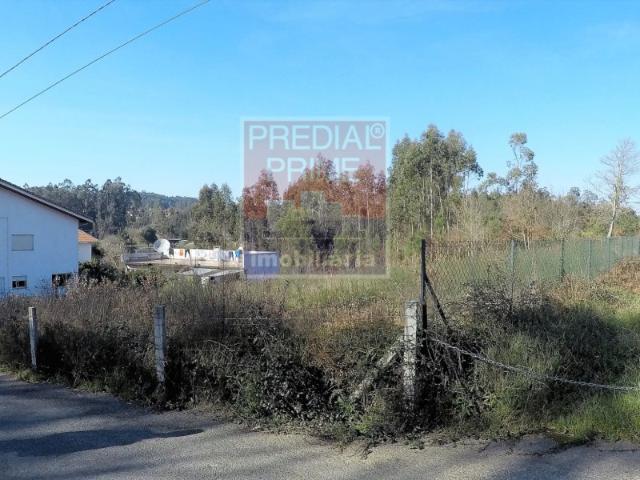 EXCELENTE TERRENO PARA CONSTRUÇÃO DE MORADIA MUITO PRÓXIMO DA CIDADE DE OLIVEIRA DE AZEMÉIS. ORIENTAÇÃO SOLAR PRIVILEGIADA