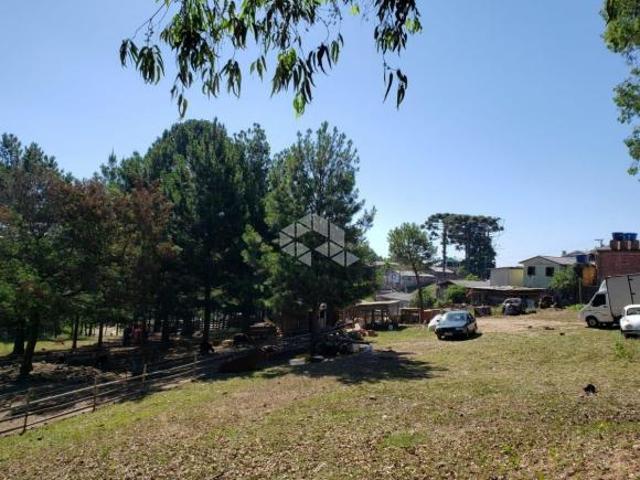 Excelente terreno para construção de prédios, Nossa Senhora do Rosário, Caxias do Sul