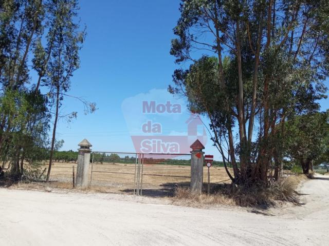 Excelente Terreno para construção e agrícola 10 hectares