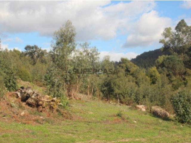 Excelente terreno para construção em Santo Tirso!