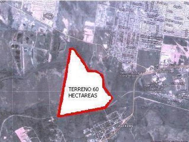 EXCELENTE TERRENO PARA DESARROLLO HABITACIONAL SUP. TOTAL 60 HECTAREAS