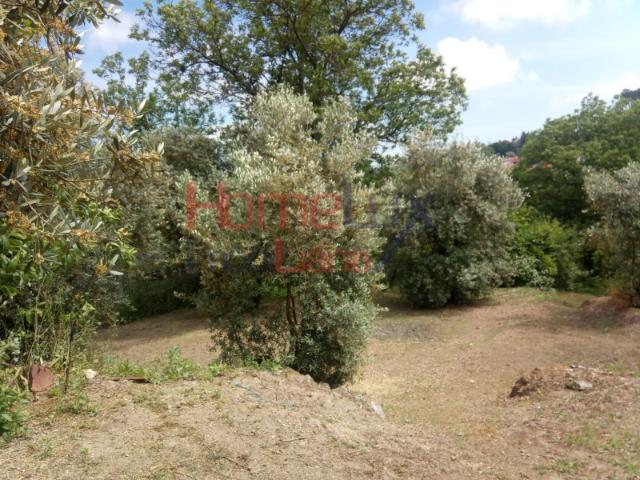 Excelente Terreno para venda em Viseu